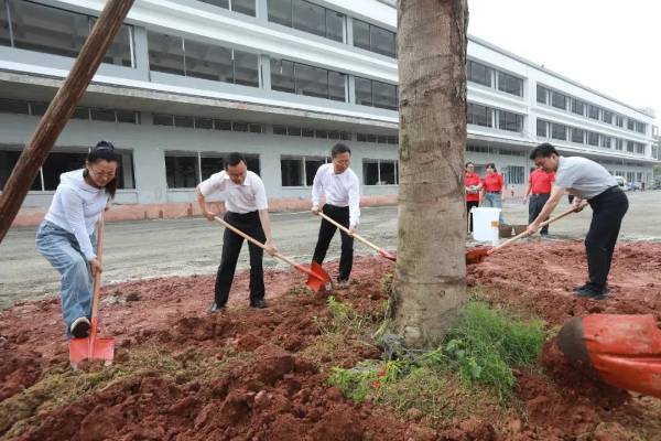 1747706924263666.jpg 6.jpg