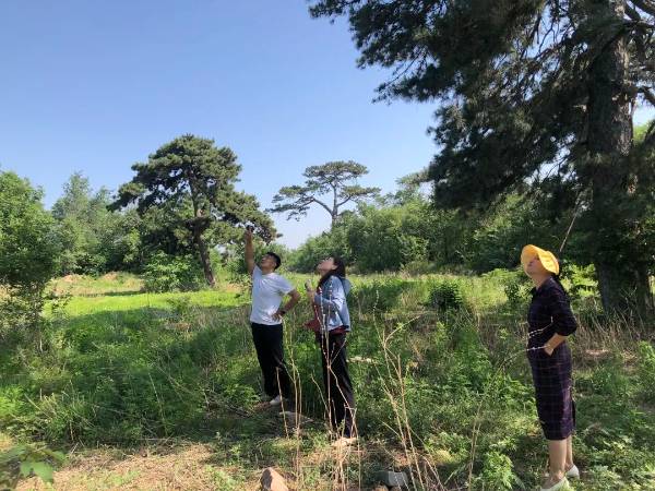 1747707100207898.jpg 8.jpg