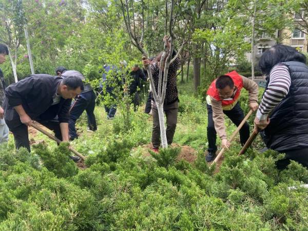 1747881869251148.jpg 10 (1).jpg