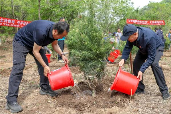 1747890459189398.jpg 2 (1).jpg