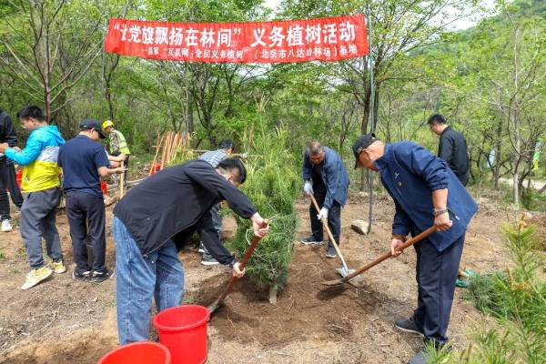 1747890513727919.jpg 3 (1).jpg