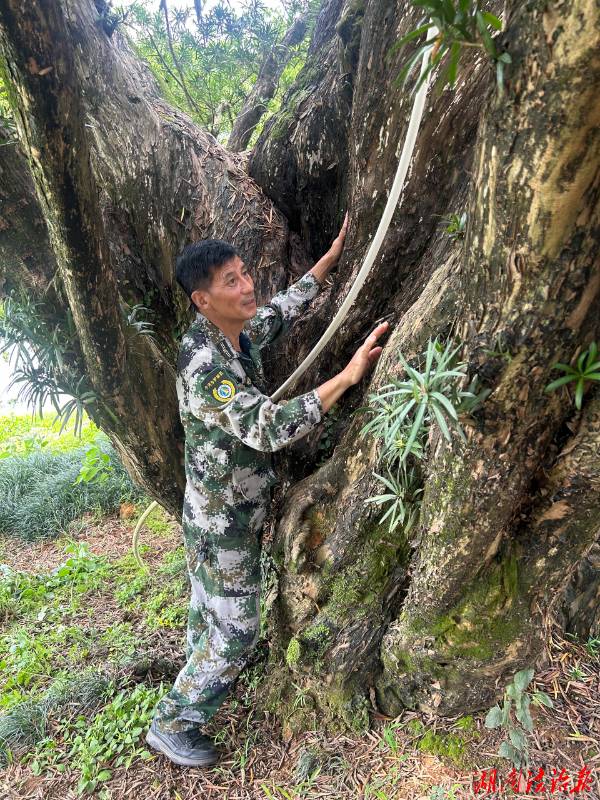 1747892077547612.jpg 2 (1).jpg