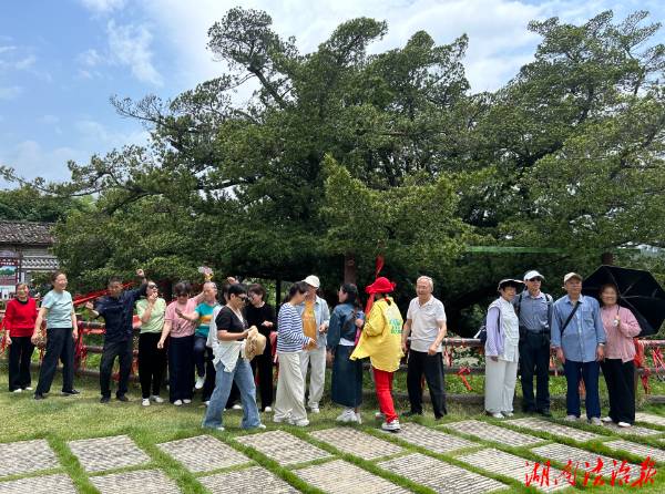 1747892095884287.jpg 4 (1).jpg