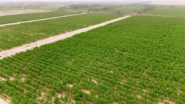 1747893654973560.jpg 1 (1).jpg