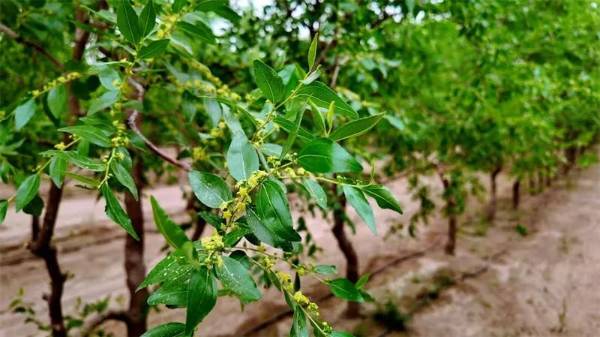 1747893659549110.jpg 2 (1).jpg