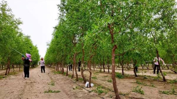 1747893671927969.jpg 4 (1).jpg