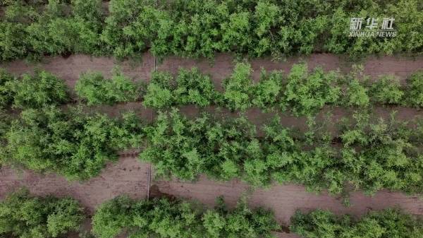 1747893984728976.jpg 1 (1).jpg