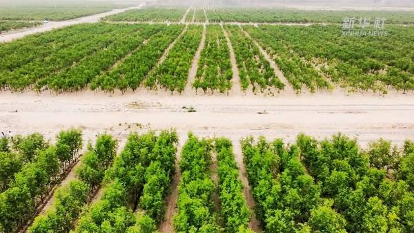 1747893994735605.jpg 2 (1).jpg