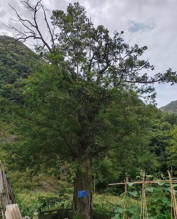 1747894180557215.jpg 3 (1).jpg