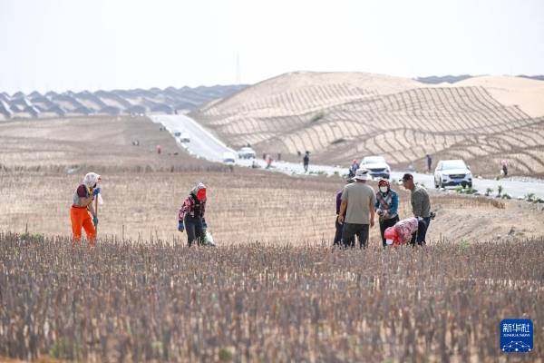 1747894437327278.jpg 5.jpg