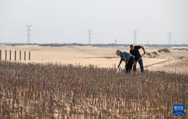 1747894444922710.jpg 6.jpg