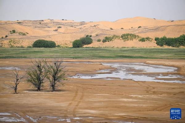 1747894464477709.jpg 9.jpg