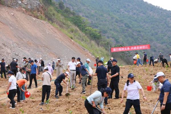 1747895421184984.jpg 1 (1).jpg