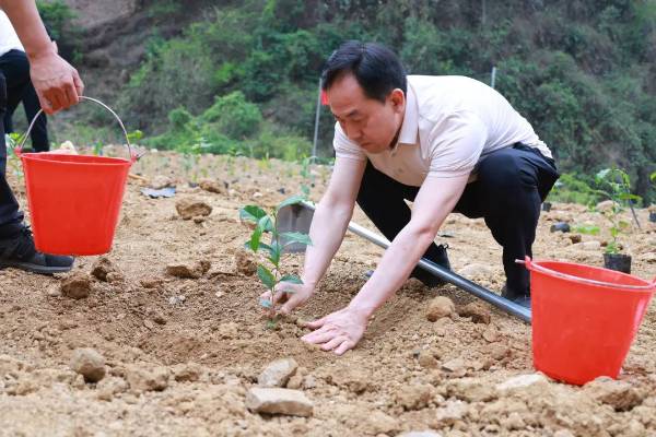 1747895432831603.jpg 2 (1).jpg