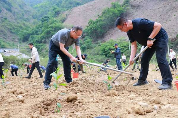 1747895442130323.jpg 3 (2).jpg