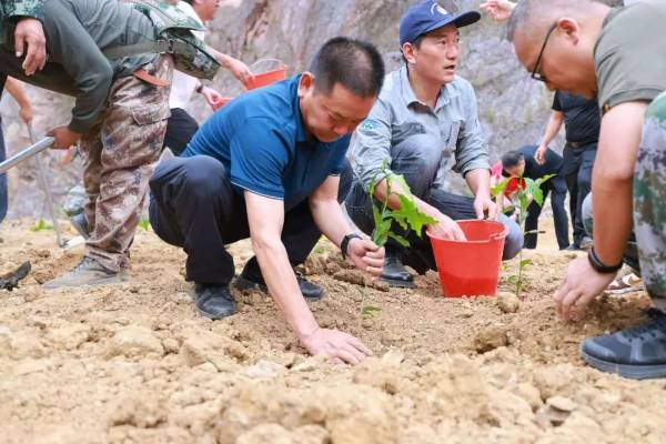 1747895447219045.jpg 4 (1).jpg