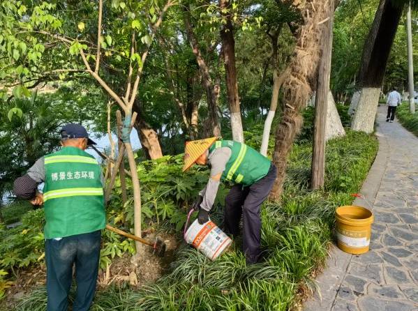 1747896114162974.jpg 1 (1).jpg