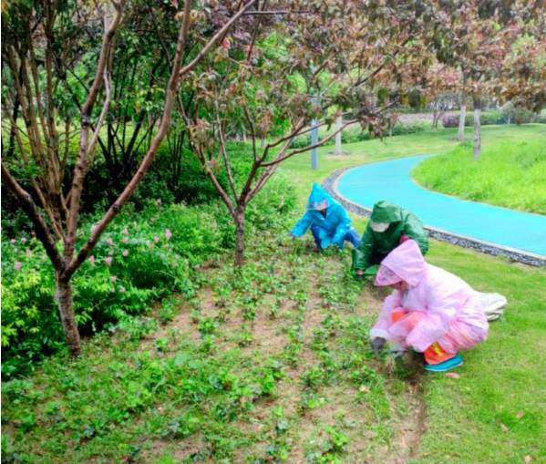 1747896121958596.jpg 2 (1).jpg