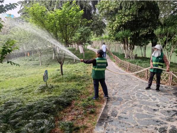 1747896129435296.jpg 3 (1).jpg