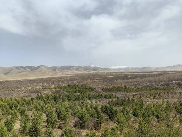 1748229003486992.jpg 2.jpg