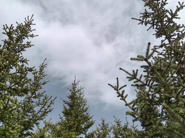 1748229024368838.jpg 5.jpg