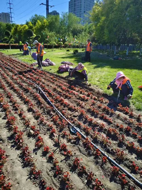 1748229411944247.jpg 1.jpg