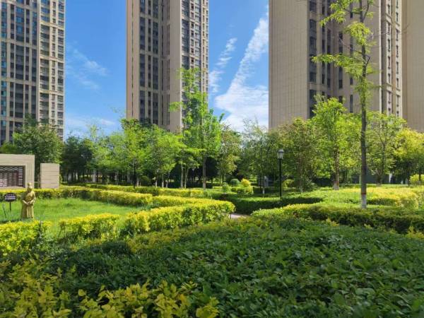 1748229418796924.jpg 2.jpg