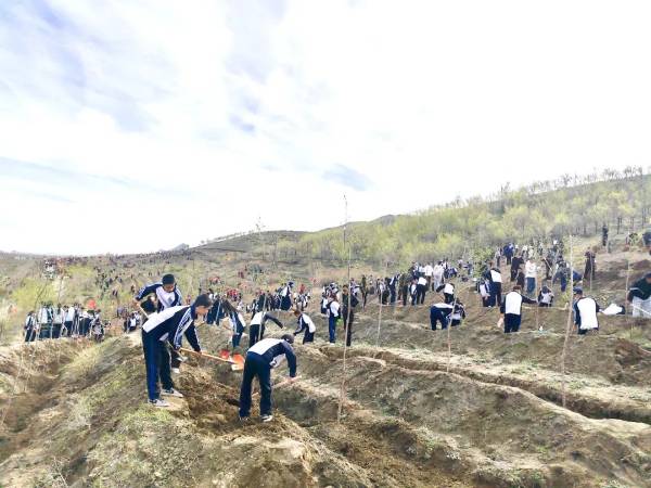 1748229425867603.jpg 3.jpg