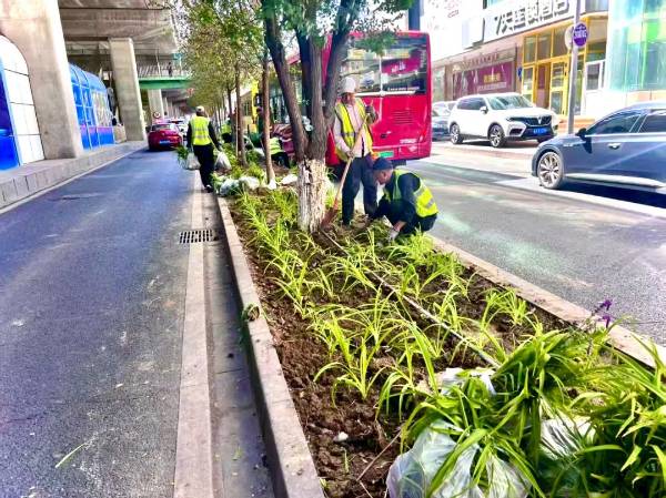 1748229463601114.jpg 6.jpg