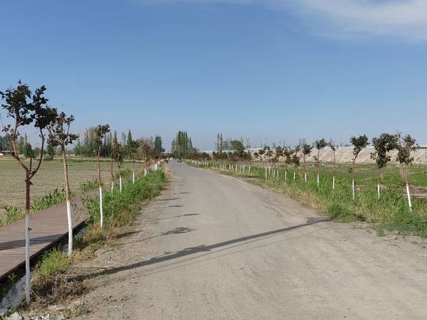 1748229469379349.jpg 7.jpg