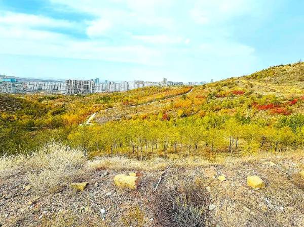 1748229480410254.jpg 8.jpg