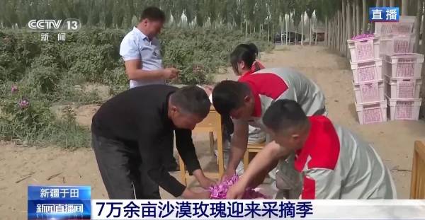 1748487087271154.jpg 2.jpg