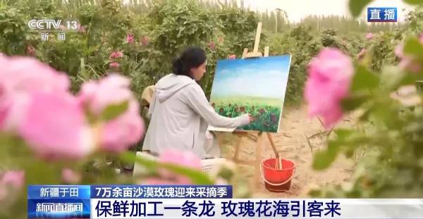 1748487096639046.jpg 3.jpg