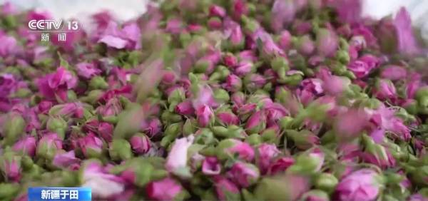 1748487198234913.jpg 6.jpg