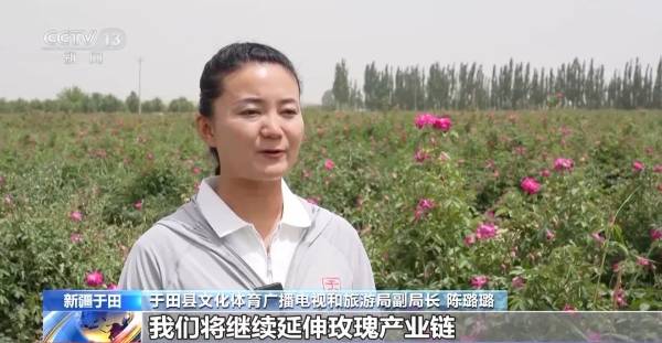 1748487216475279.jpg 8.jpg