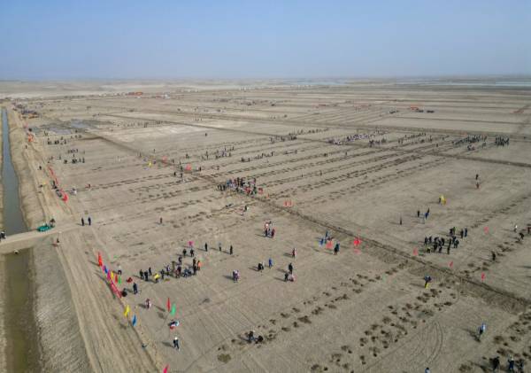 1748587418938211.jpg 2.jpg