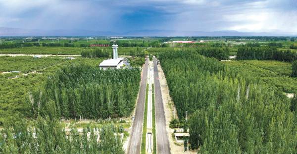 1748587489758213.jpg 4.jpg