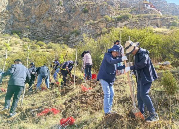 1748588066453204.jpg 13.jpg