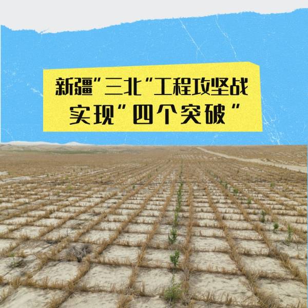 1748589256506294.jpg 1.jpg