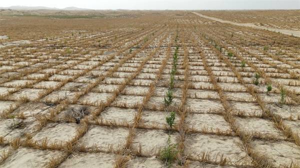 1748589264270102.jpg 2.jpg