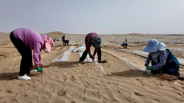 1748589277548521.jpg 4.jpg