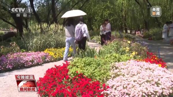 1748589512742826.jpg 7.jpg