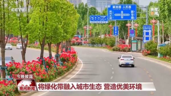 1748589620377155.jpg 12.jpg