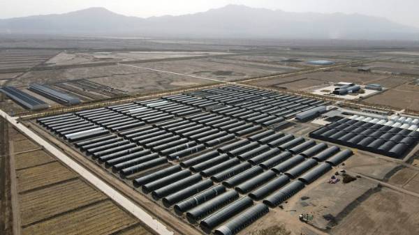 1748918825326435.jpg 1.jpg