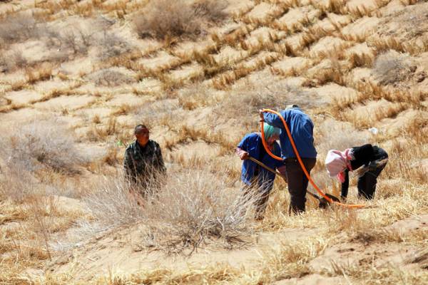 1748918848190387.jpg 4.jpg