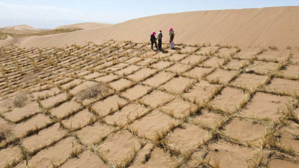 1748918865886595.jpg 6.jpg