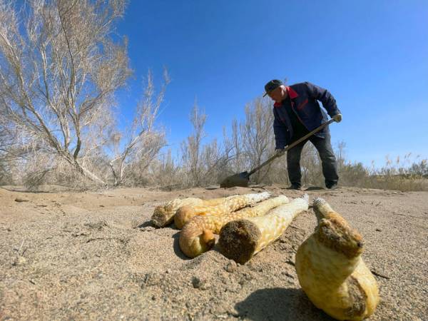 1748918873917751.jpg 7.jpg