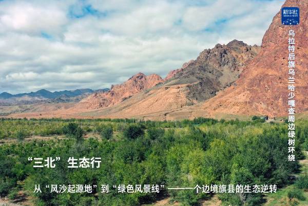 1748919227594445.jpg 8.jpg