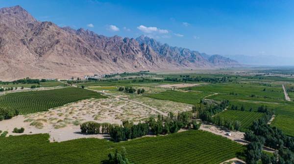 1748919269571272.jpg 9.jpg