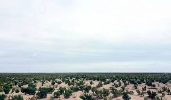 1748919296955192.jpg 11.jpg